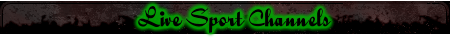 Sport head